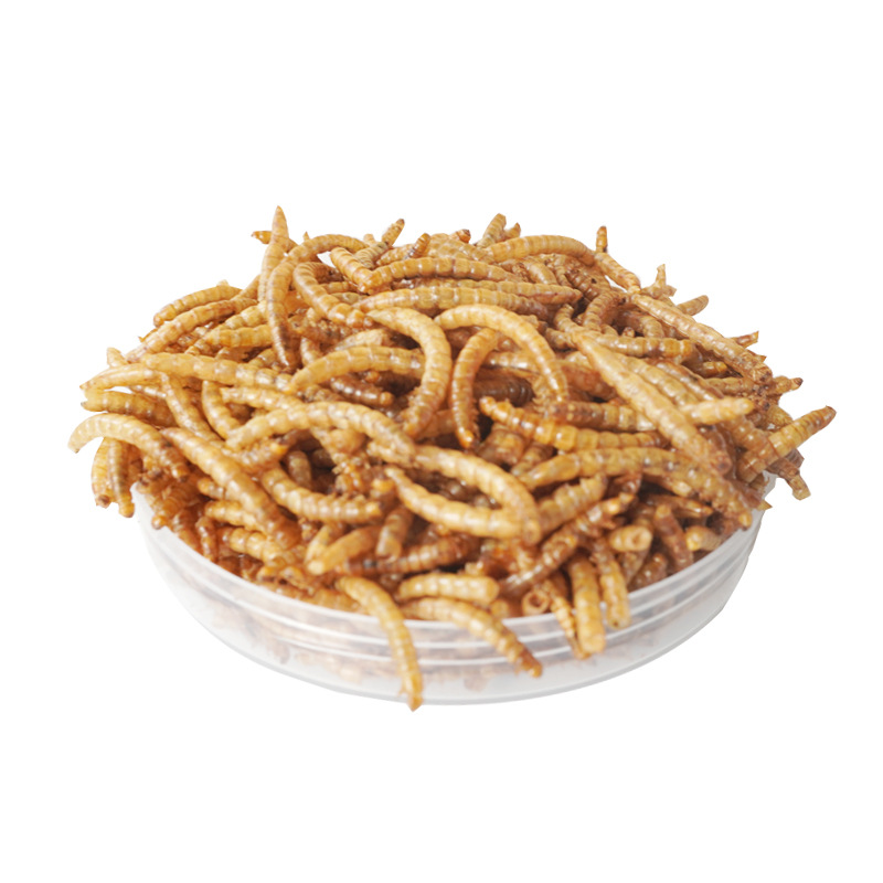 Food Protein Snacks - High-Protein Snacks Hamster Food Birds Hedgehog