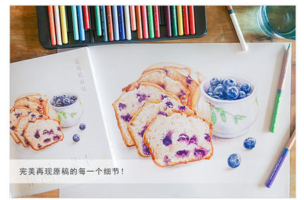 Color pencil drawing book 32 c - Food And Snacks Coloring Book review and price