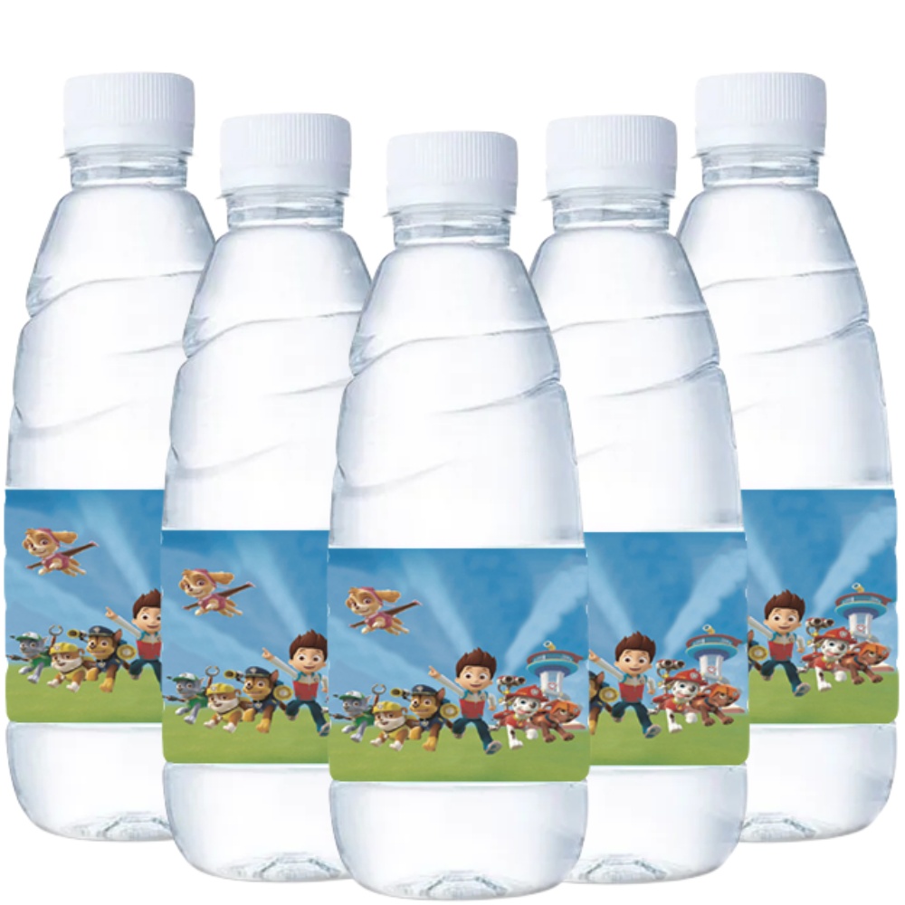 Paw Patrol Water Bottle Labels - Candy Sour Strip review and price